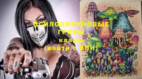 винт Переславль-Залесский