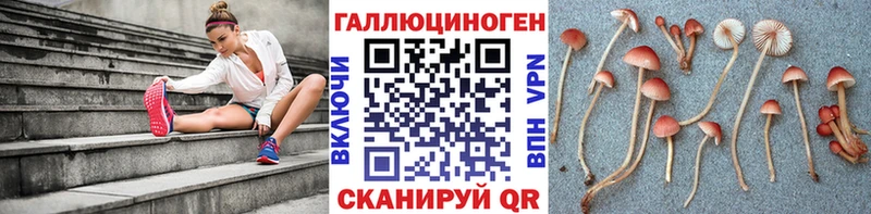 купить наркотик  Углич  Галлюциногенные грибы Psilocybine cubensis 