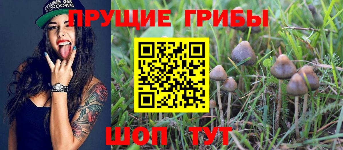 Псилоцибиновые грибы мухоморы  Вход с VPN  Псилоцибиновые грибы ЛСД  Углич 