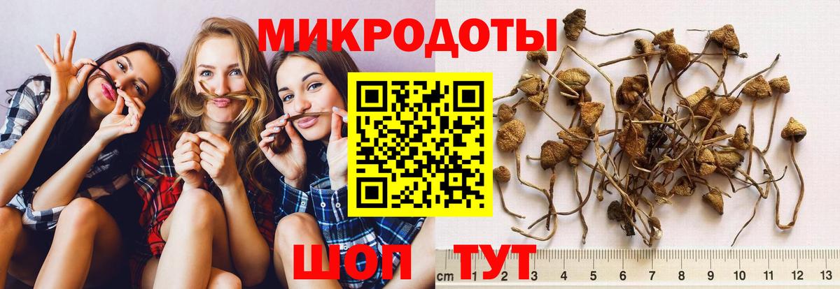 Псилоцибиновые грибы MAGIC MUSHROOMS Углич