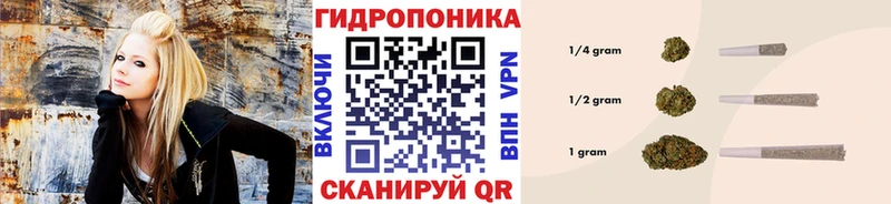 купить наркотики сайты  Углич  Бошки Шишки THC 21% 